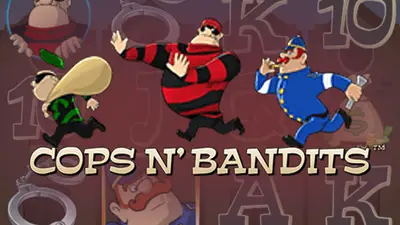 cops n bandits